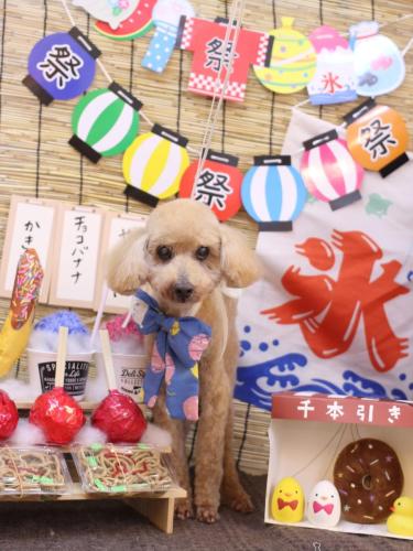 20240707モコちゃん